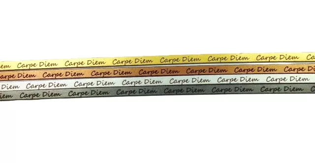 Cuir Laser CARPE DIEM - Argent