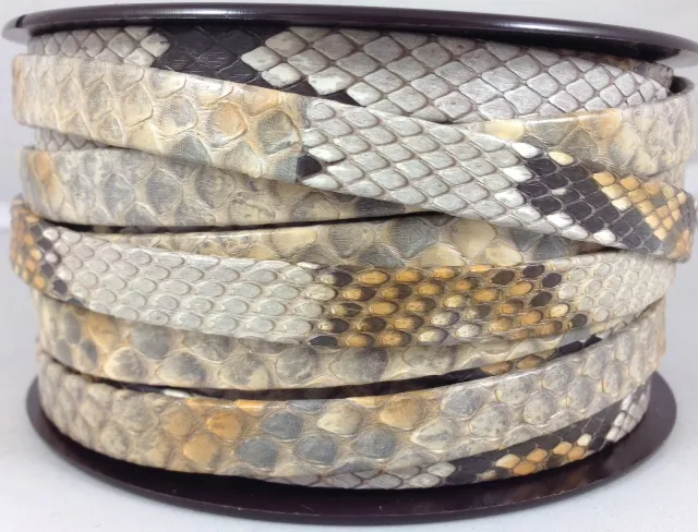  20cm Véritable Python 10mm peint main - Beige