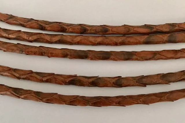 Véritable Python 3 mm rond-Pour la Joaillerie - Marron moyen