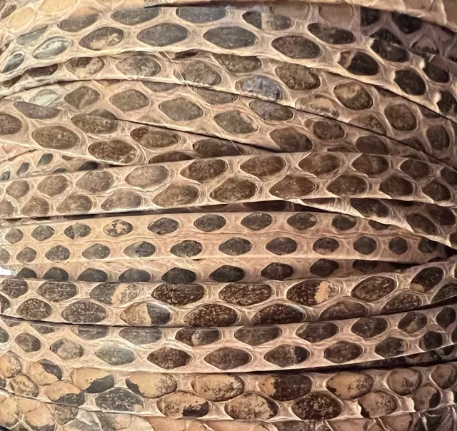 Veritable serpent sauvage 5mm - nude