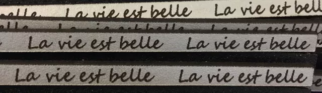 LA VIE EST BELLE, cuir avec écriture laser