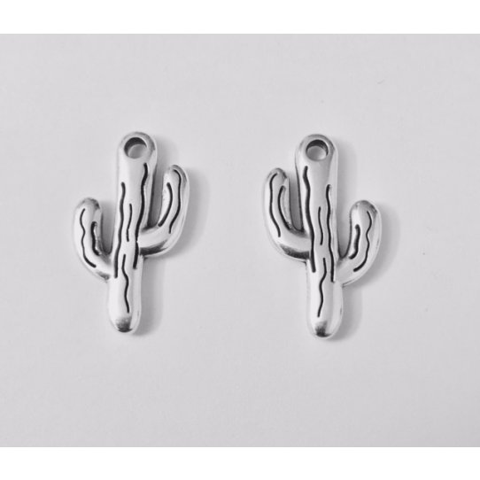 15 Pendants cactus, double face